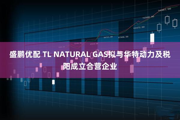 盛鹏优配 TL NATURAL GAS拟与华特动力及税阳成立合营企业