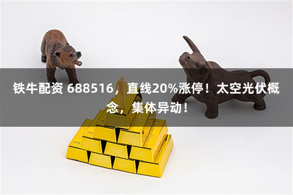 铁牛配资 688516，直线20%涨停！太空光伏概念，集体异动！