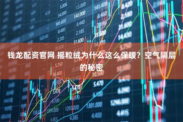 钱龙配资官网 摇粒绒为什么这么保暖？空气隔层的秘密